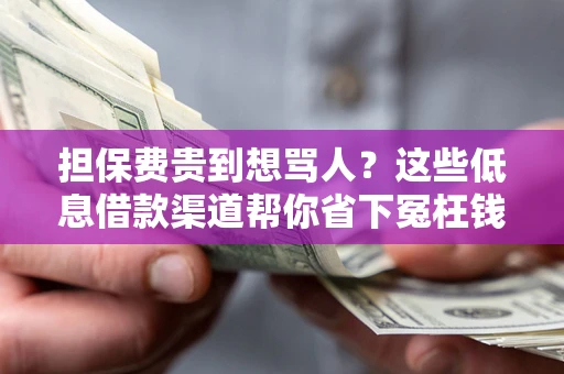 济南担保费贵到想骂人？这些低息借款渠道帮你省下冤枉钱