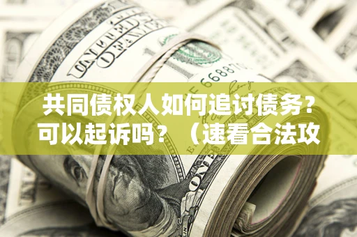 济南共同债权人如何追讨债务？可以起诉吗？（速看合法攻略）