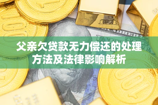 济南父亲欠贷款无力偿还的处理方法及法律影响解析